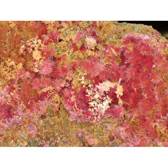 Erythrite