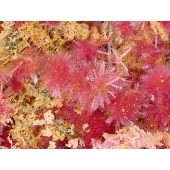 Erythrite
