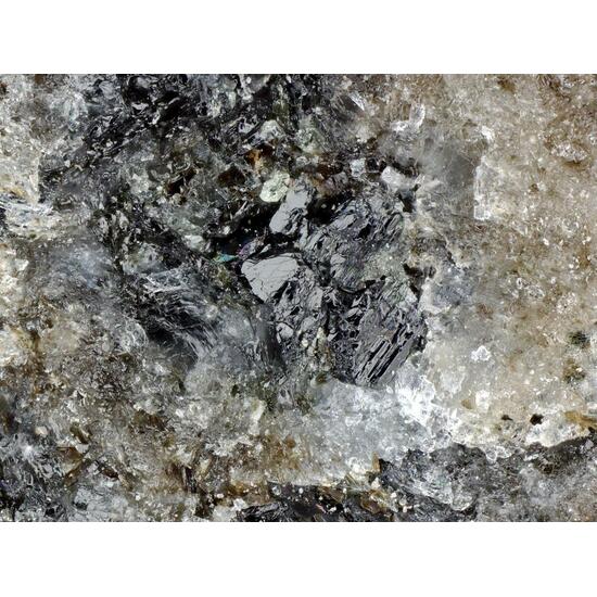 Potassic-ferro-pargasite