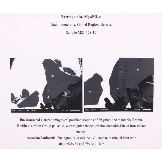 Farringtonite With PMG Pallasite Meteorite