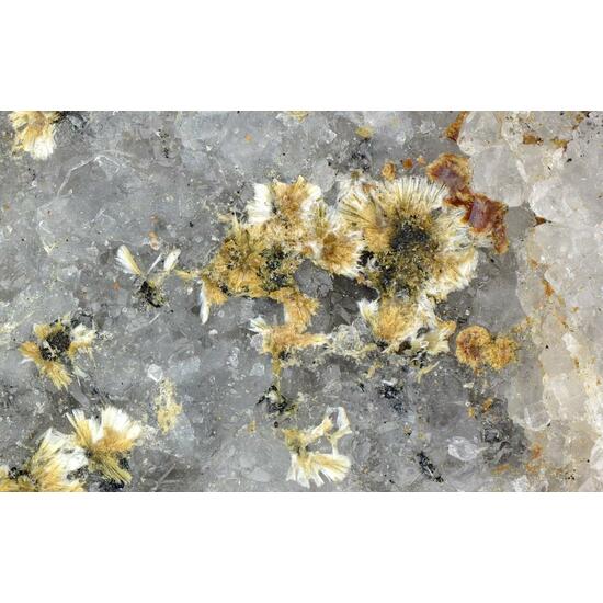 Monazite-(Ce)