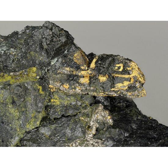 Native Gold & Uraninite