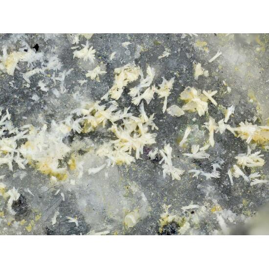 Gasparite-(Ce)