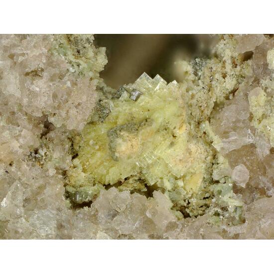 Metarauchite