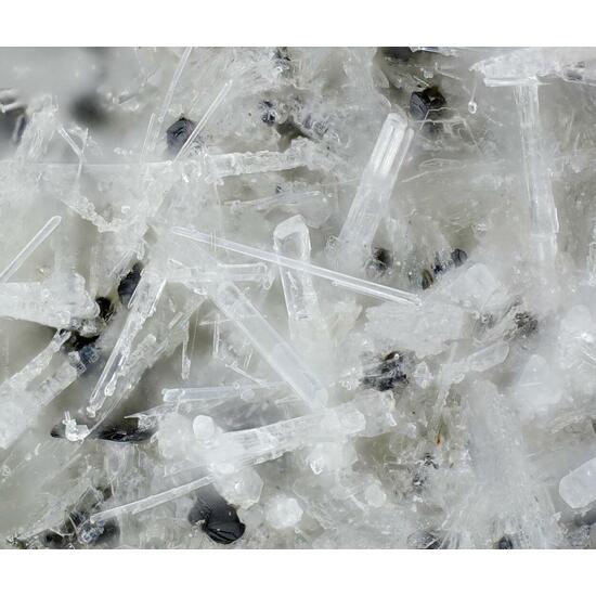 Cancrisilite