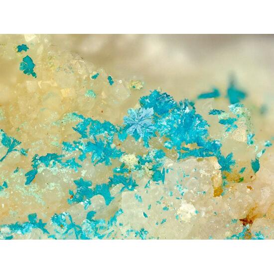 Langite