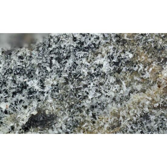 Ankinovichite