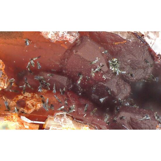 Ferroberaunite