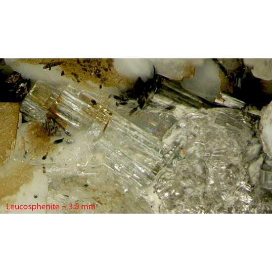 Leucosphenite & Monteregianite