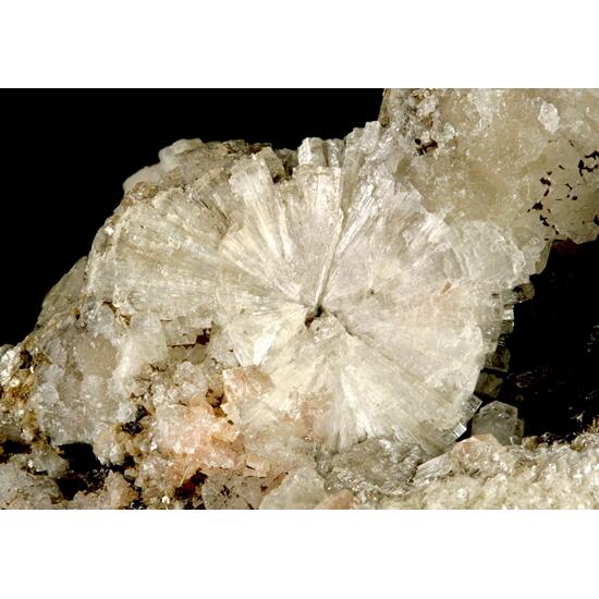 Leifite Eirikite Polylithionite & Manganoneptunite