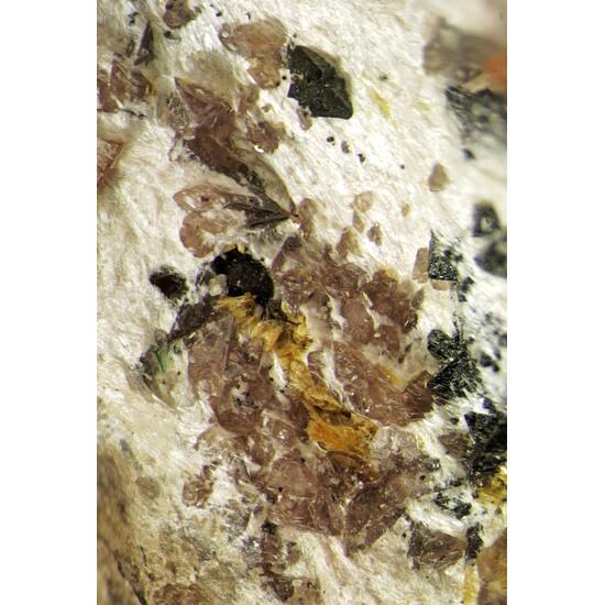 Hodgkinsonite Hetaerolite Sussexite & Zincite