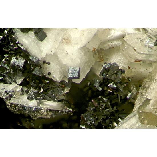 Anatase & Parisite-(Ce) Psm Donnayite Group With Catapleiite