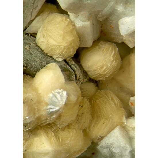 Chalcopyrite & Gmelinite-Na