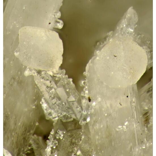 Garronite-Na & Epididymite On Albite