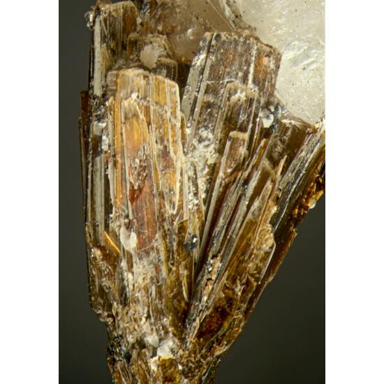 Calcioburbankite With Astrophyllite Pyrophanite & Catapleiite