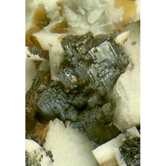 Manganoneptunite With Amphibole On Microcline