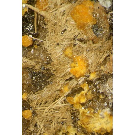 Chlorophoenicite Hodgkinsonite Zincite & Hetaerolite