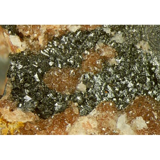 Chlorophoenicite Hodgkinsonite Zincite & Hetaerolite