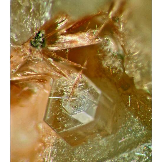 Lintisite & Raite On Eudialyte Group With Terskite Steenstrupine-(Ce) Gmelinite-Na & Sérandite