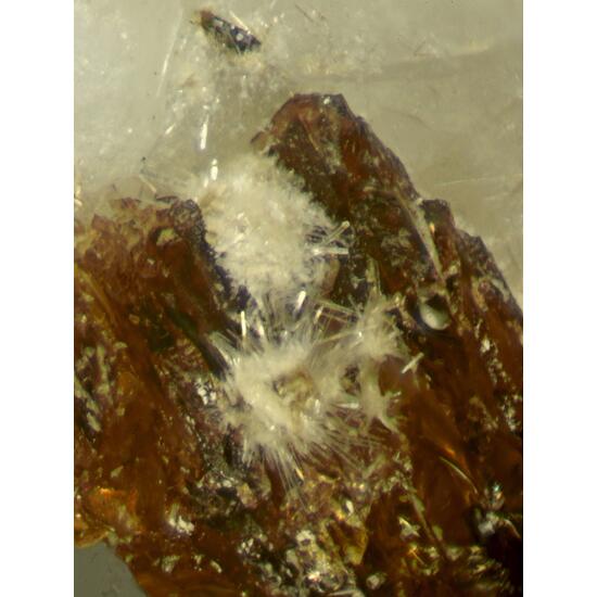 Lintisite & Raite On Eudialyte Group With Terskite Steenstrupine-(Ce) Gmelinite-Na & Sérandite