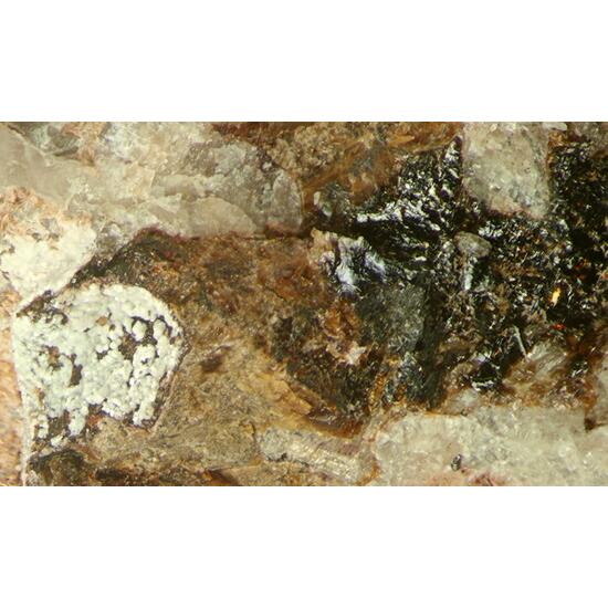 Lintisite & Raite On Eudialyte Group With Terskite Steenstrupine-(Ce) Gmelinite-Na & Sérandite