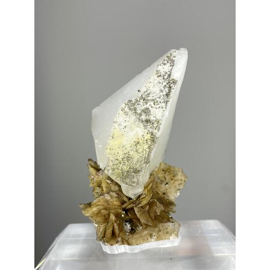 Whewellite