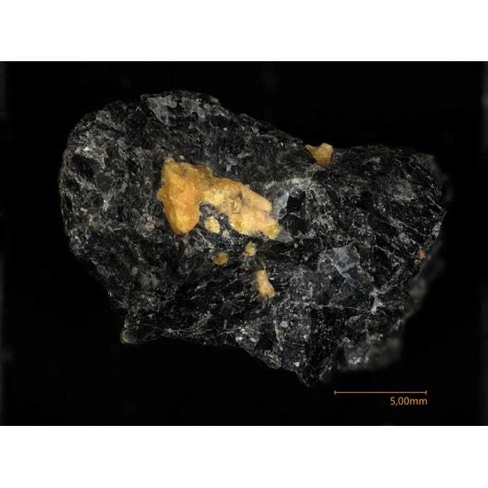 Thorogummite