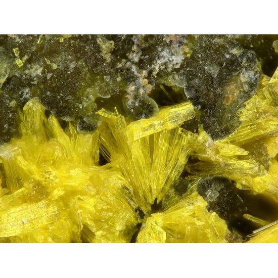 Fontanite