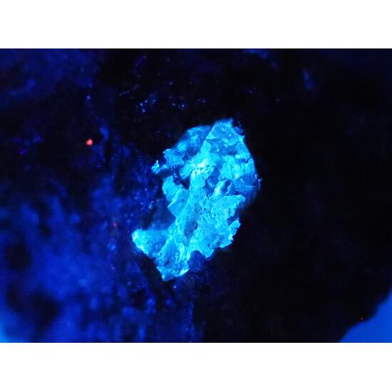 Molybdoscheelite