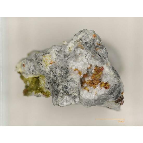 Greenockite & Sphalerite