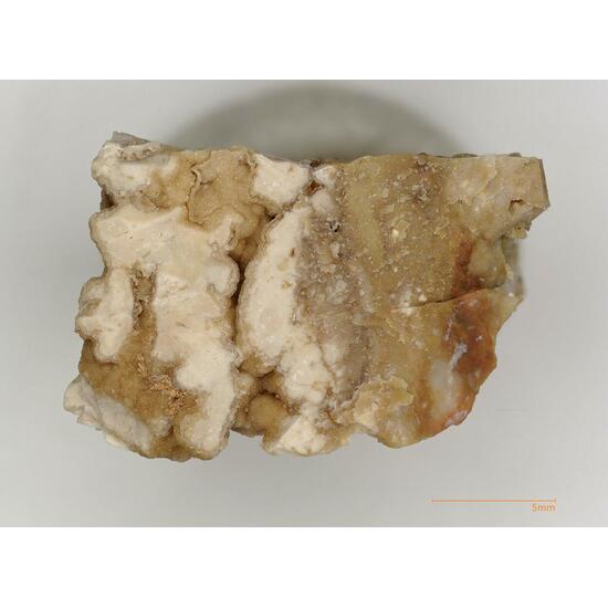 Whitlockite