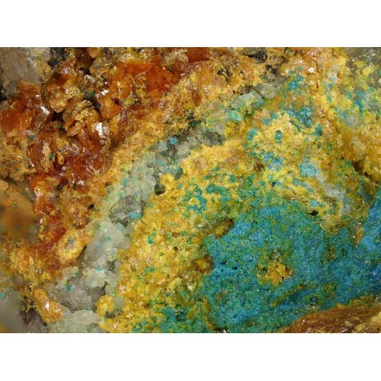 Schwartzembergite & Seeligerite & Diaboleite & Wulfenite