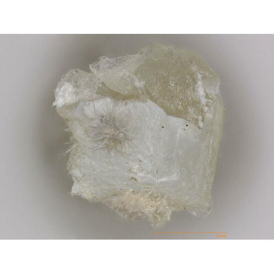 Kasatkinite