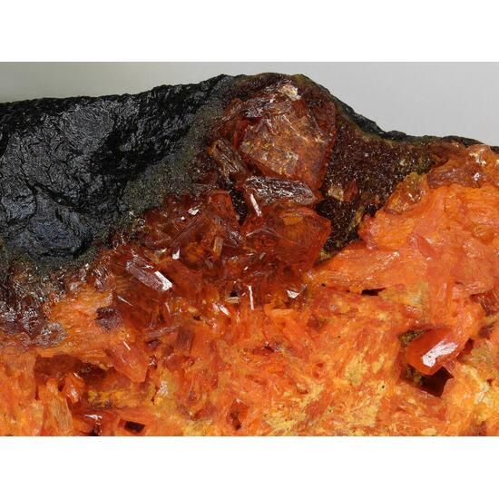 Fourmarierite