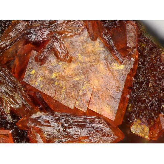Fourmarierite