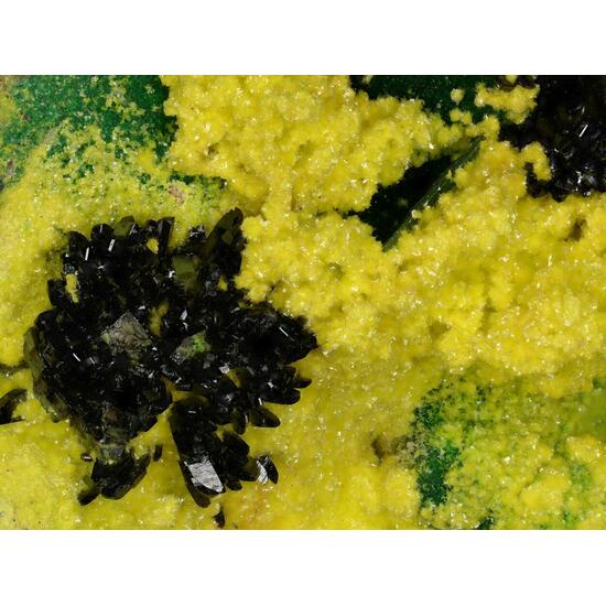 Guilleminite & Demesmaekerite