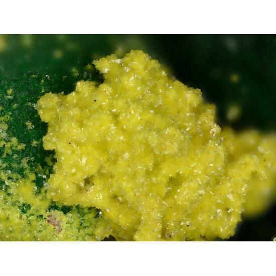 Guilleminite & Demesmaekerite