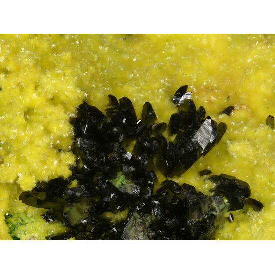 Guilleminite & Demesmaekerite