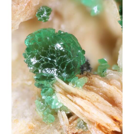 Adamite