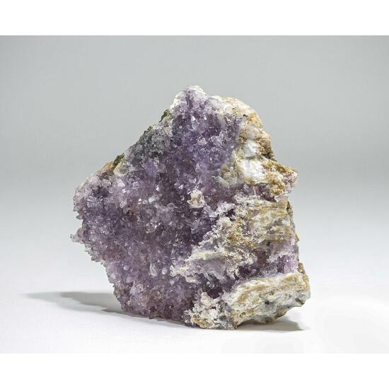 Creedite