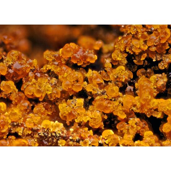 Cacoxenite