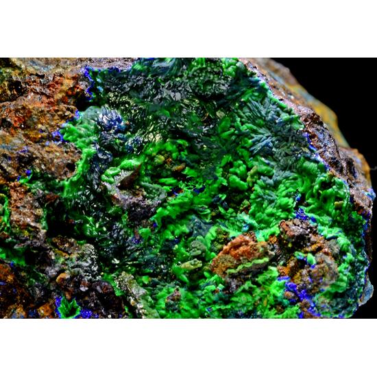 Conichalcite Psm Azurite