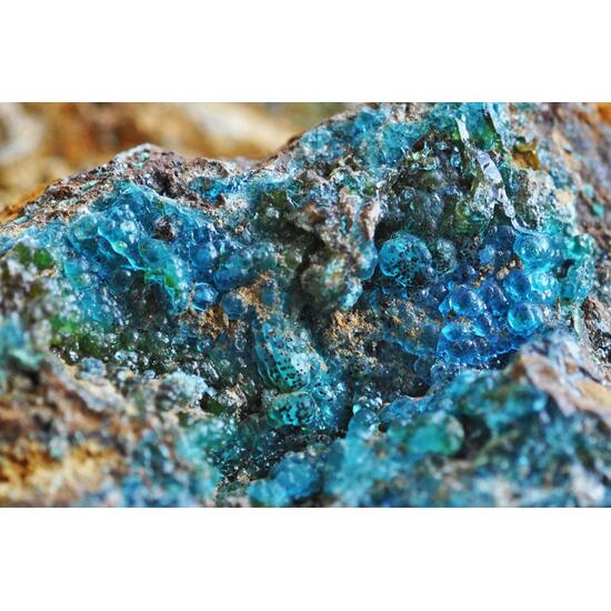 Allophane & Chrysocolla