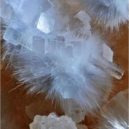 Okenite & Apophyllite On Calcite