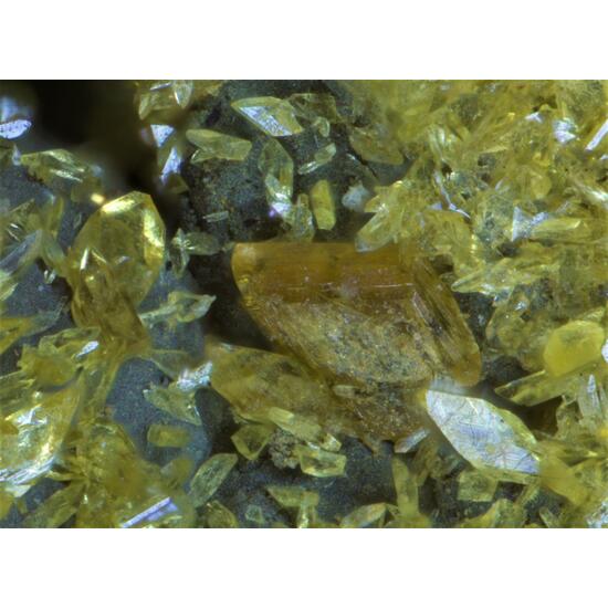 Stewartite Pseudolaueite Strunzite
