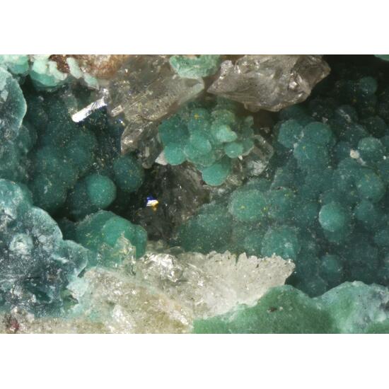 Aurichalcite Rosasite & Hemimorphite