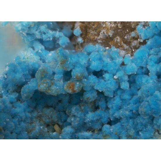 Woodwardite & Devilline