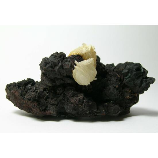 Baryte & Goethite Psm Siderite