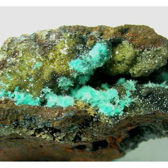 Mapimite & Aurichalcite