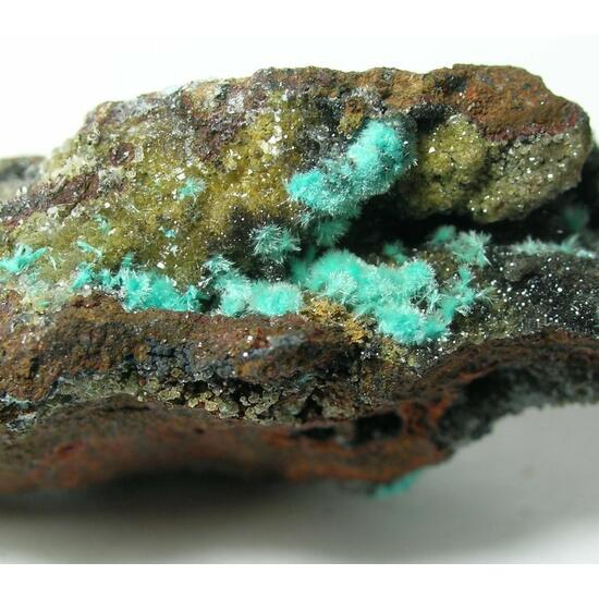 Mapimite & Aurichalcite